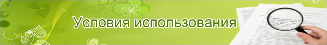 Условия доставки цветов в Ливан