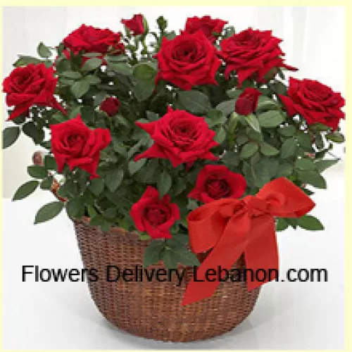 18朵红玫瑰与季节性填充物的美丽布置