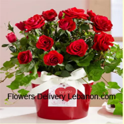 Um belo arranjo de 18 rosas vermelhas com complementos sazonais
