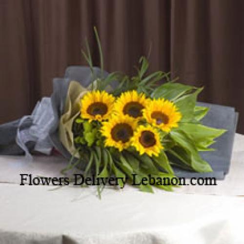 Handpicked Sunflowers Bunch