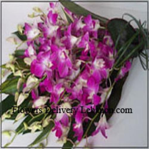 Cute Orchids Bunch