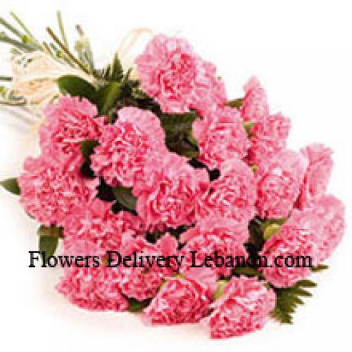 24 Pink Carnation Bunch