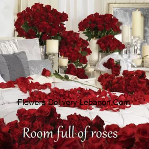 Nosso Quarto Cheio de Rosas tem muitos arranjos de rosas vermelhas - o número total de rosas no pacote é 500