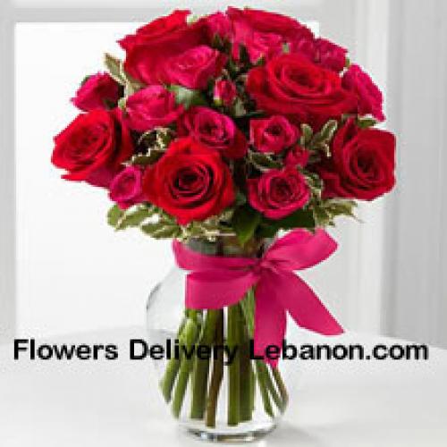 18 Cute Red Roses with Pink Bow