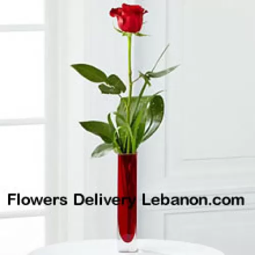 Een enkele rode roos in een rode reageerbuisvaas (Wij behouden ons het recht voor om de vaas te vervangen in geval van niet-beschikbaarheid. Beperkte voorraad)