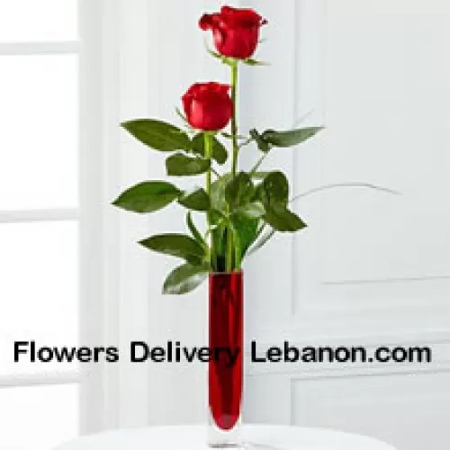 Duas Rosas Vermelhas em um Vaso de Tubo de Ensaio Vermelho (Reservamo-nos o direito de substituir o vaso em caso deindisponibilidade. Estoque limitado)
