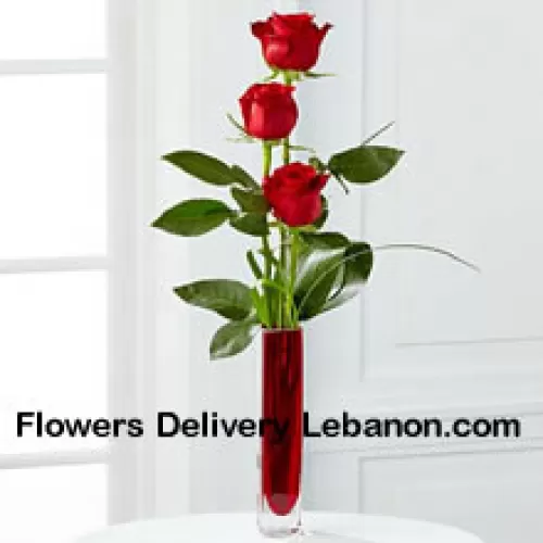 Drie rode rozen in een rode reageerbuisvaas (Wij behouden het recht om de vaas te vervangen in geval van niet-beschikbaarheid. Beperkte voorraad)
