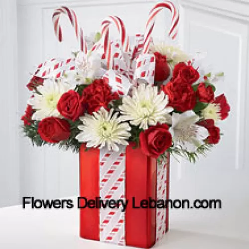 この花束は、気まぐれな喜びと元気な美しさで彼らを魅了します！白いマム、赤いカーネーション、スプレーバラの華やかなアレンジメントが、ホリデーグリーンの中にあり、キャンディケインで飾られた光沢のある赤い花瓶に美しいリボンで完璧に包まれており、最高のホリデーギフトのように見えます。（特定の商品が入手できない場合は、同等価値の適切な商品に交換する権利を留保します）