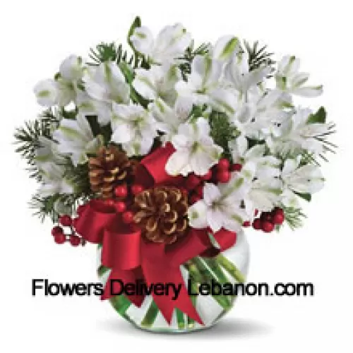 Share the magic of a white Christmas with this cheery bouquet of snowy white alstroemeria blossoms arranged in vase with festive holiday trim. (Please Note That We Reserve The Right To Substitute Any Product With A Suitable Product Of Equal Value In Case Of Non-Availability Of A Certain Product)